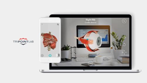 Learning management system with multiplayer VR and AR
