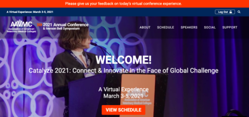 Virtual Conferences? Yeah, We Can Do That!