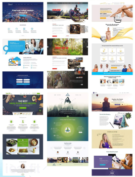 Website Design Sample