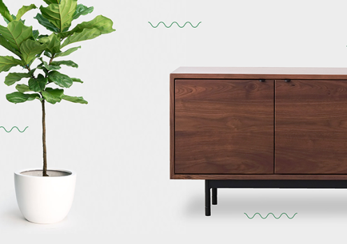 Hedg House Furniture