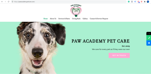 Website Design