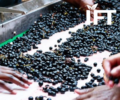 Institute of Food Technologists | Modernizing Member Pathways