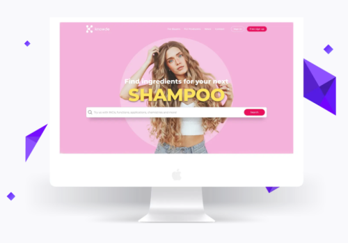 Case study Knowde Online Chemical Marketplace