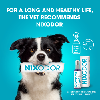Branding & Package Design Nixodor