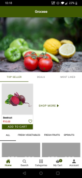 Online Grocery Store
