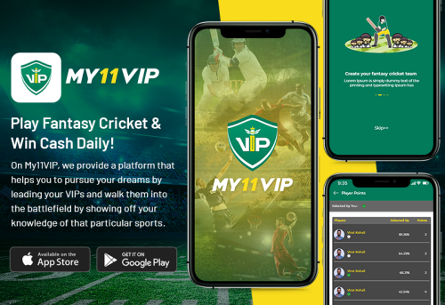 My11VIP