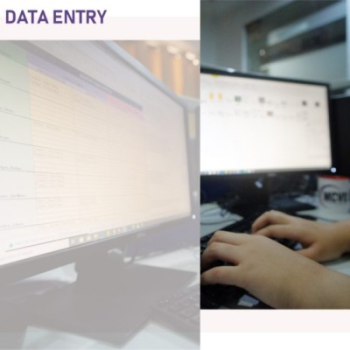 Data Entry Services