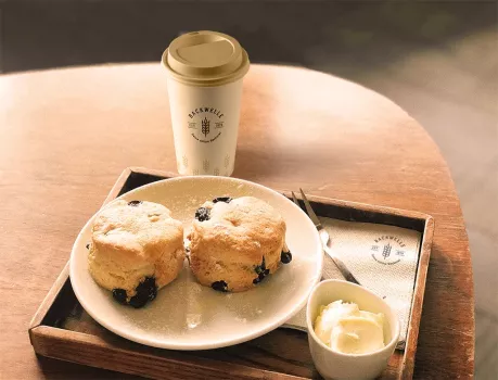 Backery Brand Design | Backwelle