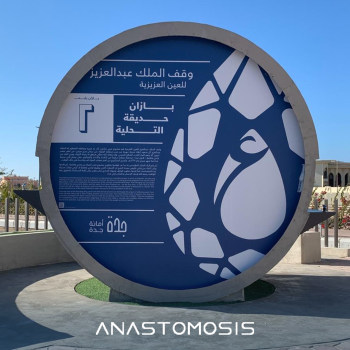 Bazan - King Abdul Aziz water Endowment commissioned