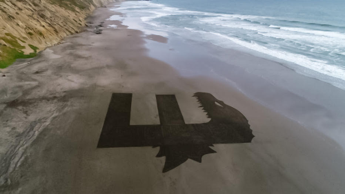 Beach Printing advertising