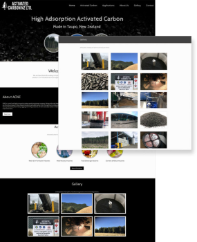 Website Design and Content Writing