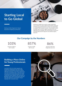 Organic SEO Case Study