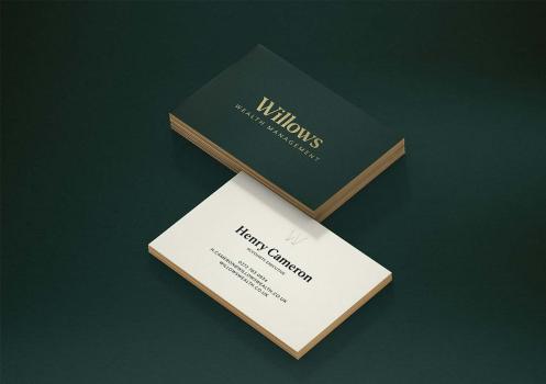Willows Wealth Management