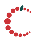 Cranberry Technologie is an IT services company led by a team of experts in IT