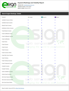 SEARCH ENGINE RANKINGS REPORT