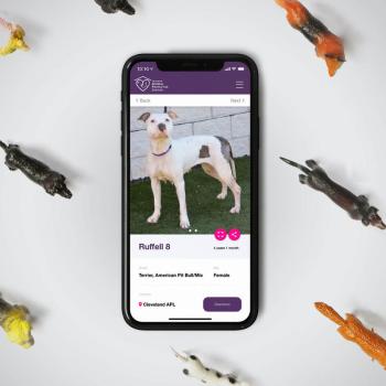 Cleveland APL Mobile App