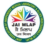 WEb Design & Development Project