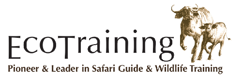 EcoTraining Website