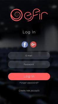 The EFIR mock up