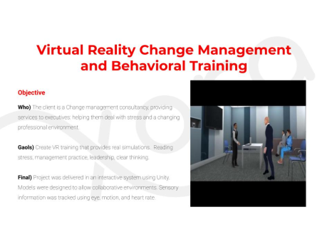 Executive Training using Virtual Reality