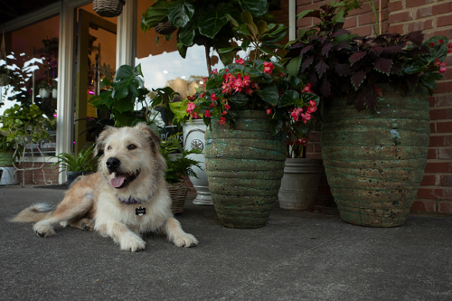 Truist Financial - Main Street Love: Meet Sam