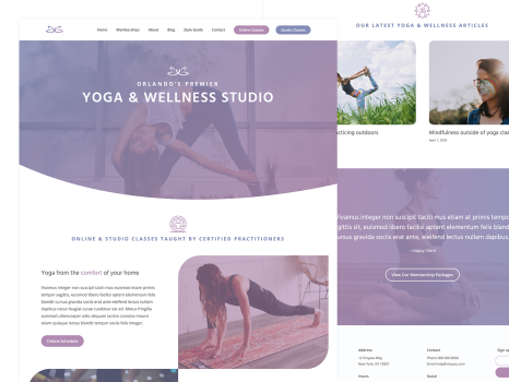 WordPress Theme Design & Development