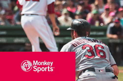 National award winning marketing campaign that hits it out of the park.