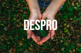 Despro