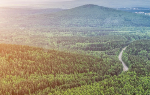 FORESTRY SOFTWARE SOLUTION-FINLAND