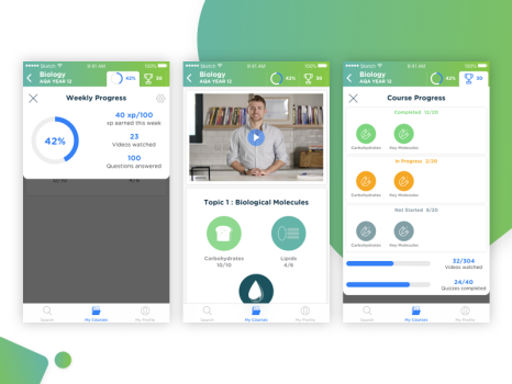 Snaprevise - is an online tutoring platform