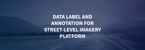 Data label and annotation for Street-level imagery platform