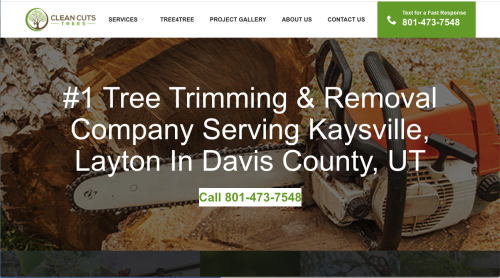 Tree Removal Service Google Ads Project