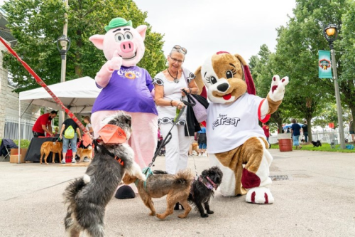 Fromm Petfest