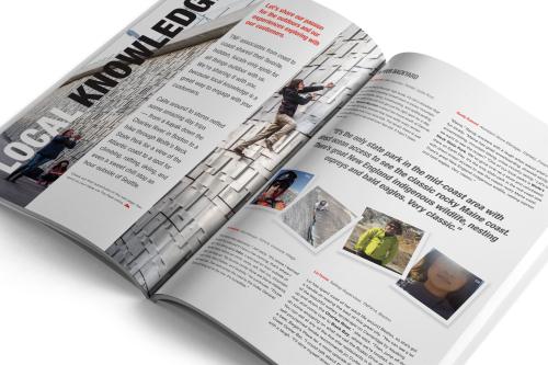 The North Face ~ Print Newsletter