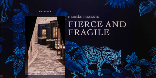 Hermès - Fierce and Fragile