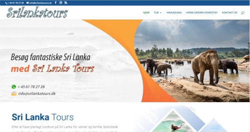 Web Side Design For Denmark Company