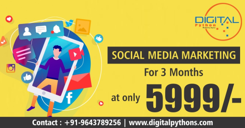 Digital Marketing Services Company in Delhi | Digital Marketing Agency in Delhi & NCR