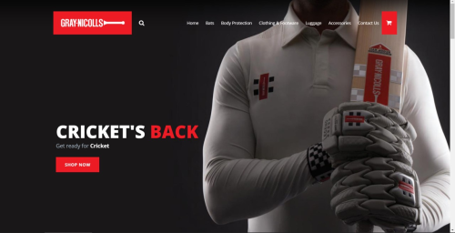 Website development