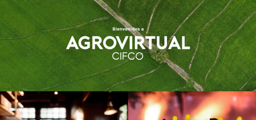 Agrovirtual ecommerce