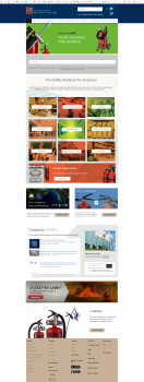 Website Design and Development Services