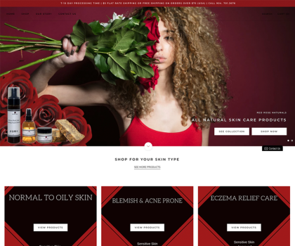 Shopify Website