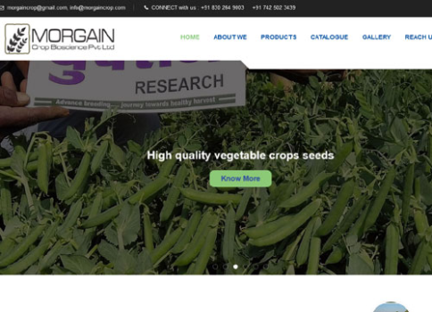 Morgain Crop Bioscience Pvt Ltd