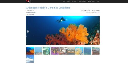 Web Design for FinLifeDiving