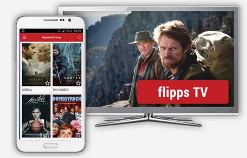Video Streaming Technology - Flipps