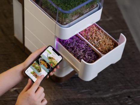 Cell Garden