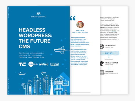 Headless WordPress: The Future CMS