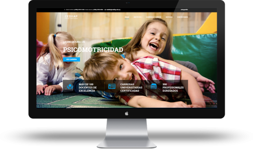 CEDIIAP - MANAGEMENT SOLUTION