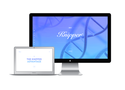 Knipper Portfolio