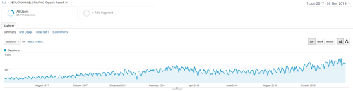 6 month SEO niche: Cosmetic