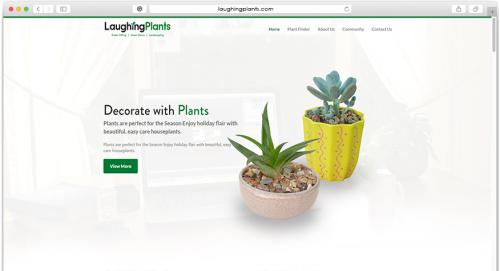 Laughing plants - Web, Graphic, Responsive Design & Development
